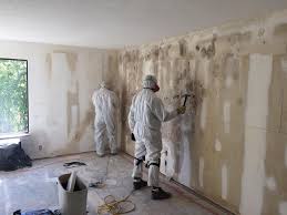 Professional Mold Remediation in Zolfo Springs, FL